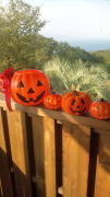 ハロウィン~ ハロウィン~