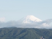 富士11