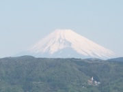 富士13