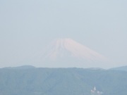 富士19